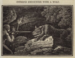 Encontro Intrepidez com um lobo (gravação) de English School
