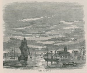 Ilha dos Cães de English School