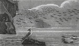 Ilha de Man (gravura) de English School