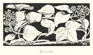 Hera (gravura) de English School