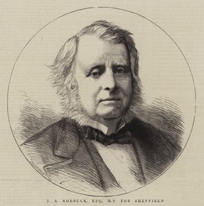 J A Roebuck, Esquire, MP para Sheffield (gravura) de English School
