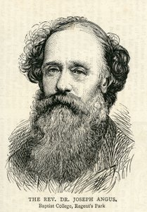 Joseph Angus (1816-1902) ilustração do gráfico 10 de julho de 1875 de English School