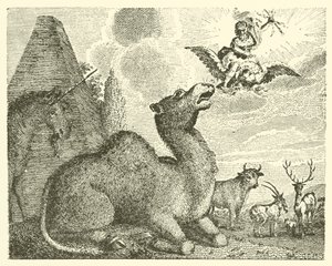 Júpiter e o camelo (gravura) de English School
