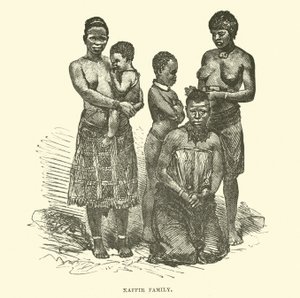 Família Kaffir de English School