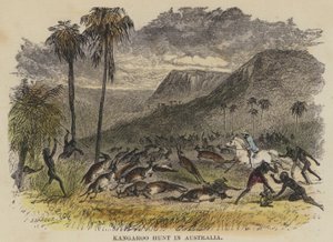 Kangaroo Hunt in Australia (gravura colorida) de English School