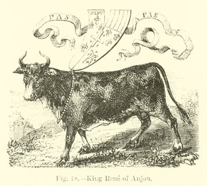Rei René ou Anjou de English School