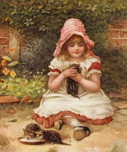 Kittie não deve ser ganancioso (cor litho) de English School