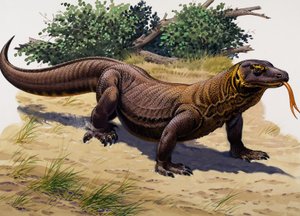 Dragão de Komodo (guache sobre papel) de English School