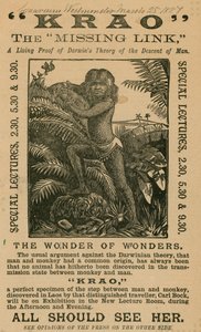 Krao, The Missing Link, exibido no aquário, Westminster, Londres, em 1887 de English School