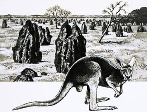 Grandes cupinzeiros próximos a Darwin, na Austrália, e um canguru em primeiro plano de English School