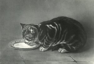 O Gourmand, o glutão de English School
