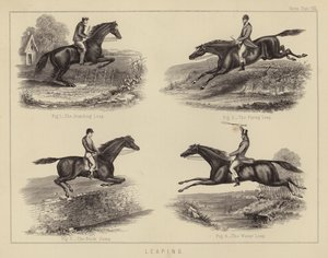 Saltar (cor litho) de English School