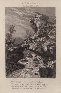 Líbano, Solomon Song IV, ver 15 (gravura) de English School