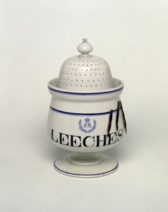 Jarra de sanguessuga (cerâmica) de English School