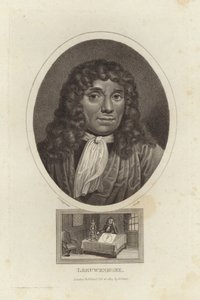 Leeuwenhoek de English School