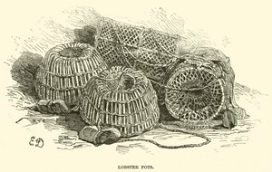 Panelas de Lagosta (gravura) de English School