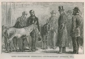 Lord Shaftesbury inspecionando burros costermongers de English School