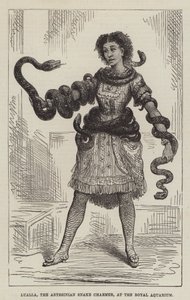 Lualla, a Encantadora Cobra Abissínia, no Aquário Real (gravura) de English School