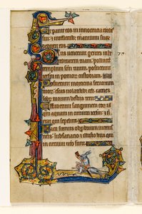MS 1-2005, fol. 115v: Um coelho montando um cão de caça, caça, decoração marginal do Saltério de Macclesfield, Uso de Sarum, East Anglia, c.1330 de English School
