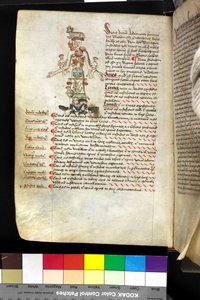 MS Hunter 251 f.47v, ilustração de um "homem zodíaco", c.1475-1500 (caneta & tinta e têmpera em velino) de English School