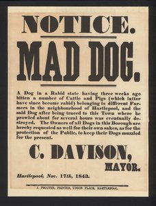 Aviso do cão louco, Hartlepool, 1843 de English School
