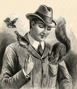 Homem a alimentar um esquilo e pássaros de English School
