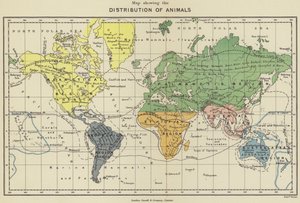 Mapa de distribuição dos animais (litografia a cores) de English School