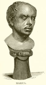 Marius de English School