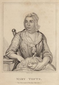 Mary Tofts, o criador de coelho fingido de English School
