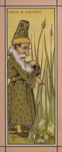 Ilustração do menu: Sábio e cebola (cor litho) de English School