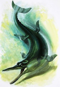 Metriorhynchus de English School