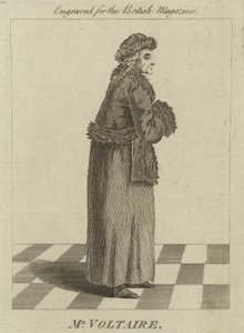 Mr Voltaire de English School