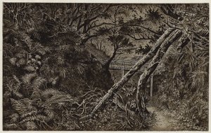 Mulgrave Woods, perto de Whitby (litografia) de English School