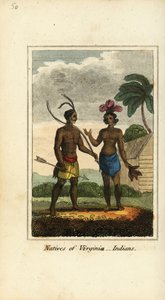 Nativos da Virgínia, América de English School