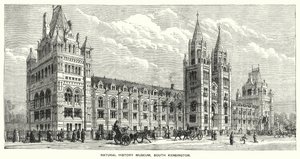 Museu de História Natural, South Kensington (gravura) de English School
