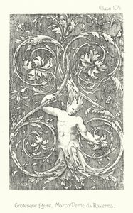 Natureza em ornamento: figura grotesca, Marco Dente da Ravenna (litografia) de English School