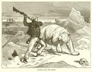 Nelson e o Urso de English School