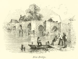 Nova ponte de English School