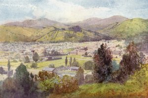 Nova Zelândia: Nelson (litografia a cores) de English School