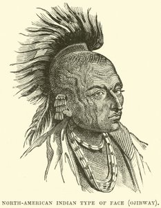 Tipo de rosto indiano norte-americano, Ojibway de English School