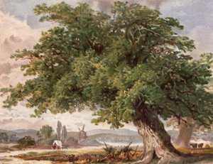 Old Oak by the Wayside, Surrey (lito colorido) de English School