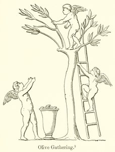 Coleta de azeitona de English School