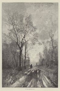No caminho de casa (gravura) de English School