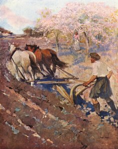 Ontário, um colono de Glengarry (litografia a cores) de English School