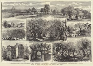 Abertura de Epping Forest pela Rainha, Views in the Forest (gravura) de English School