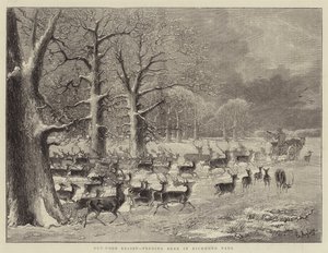 Relevo Out-Door, Alimentando Veados em Richmond Park (gravura) de English School