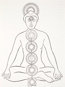 Padmasana ou posição de lótus de English School