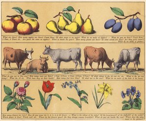 Página de The New Picture Book (litografia a cores) de English School