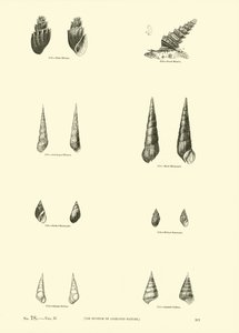 Página de The Pictorial Museum of Animated Nature