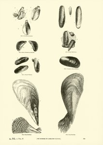 Página de The Pictorial Museum of Animated Nature